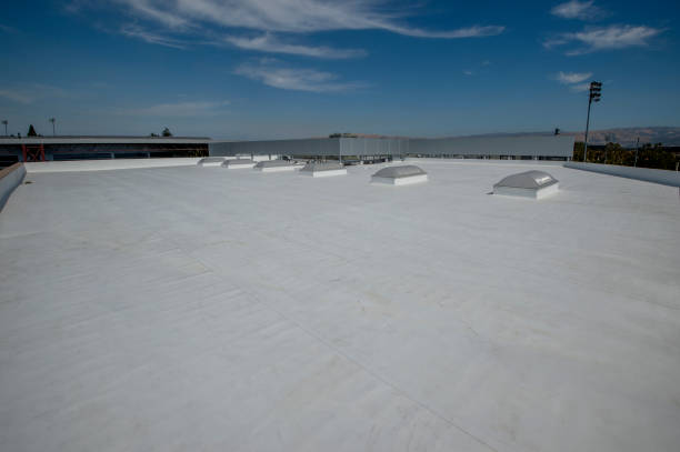 Best Roof Ventilation Installation  in Rutherford, PA