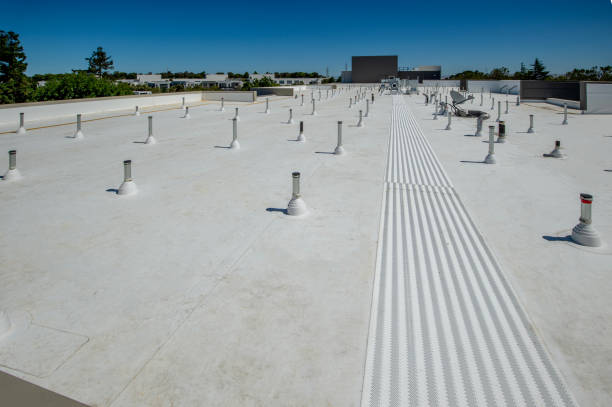 Best Sheet Metal Roofing  in Rutherford, PA